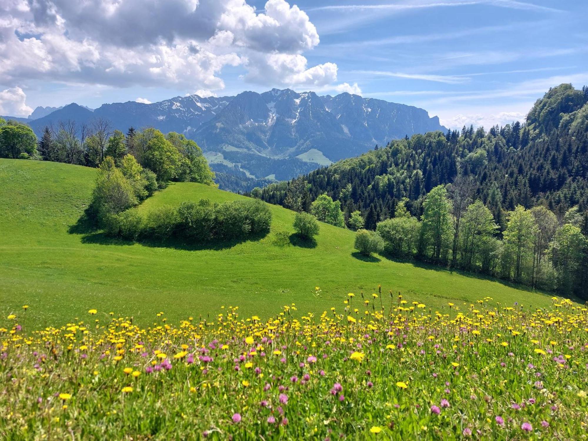 Bergapart Goetschl Rettenschoess Rettenschöss Exterior foto