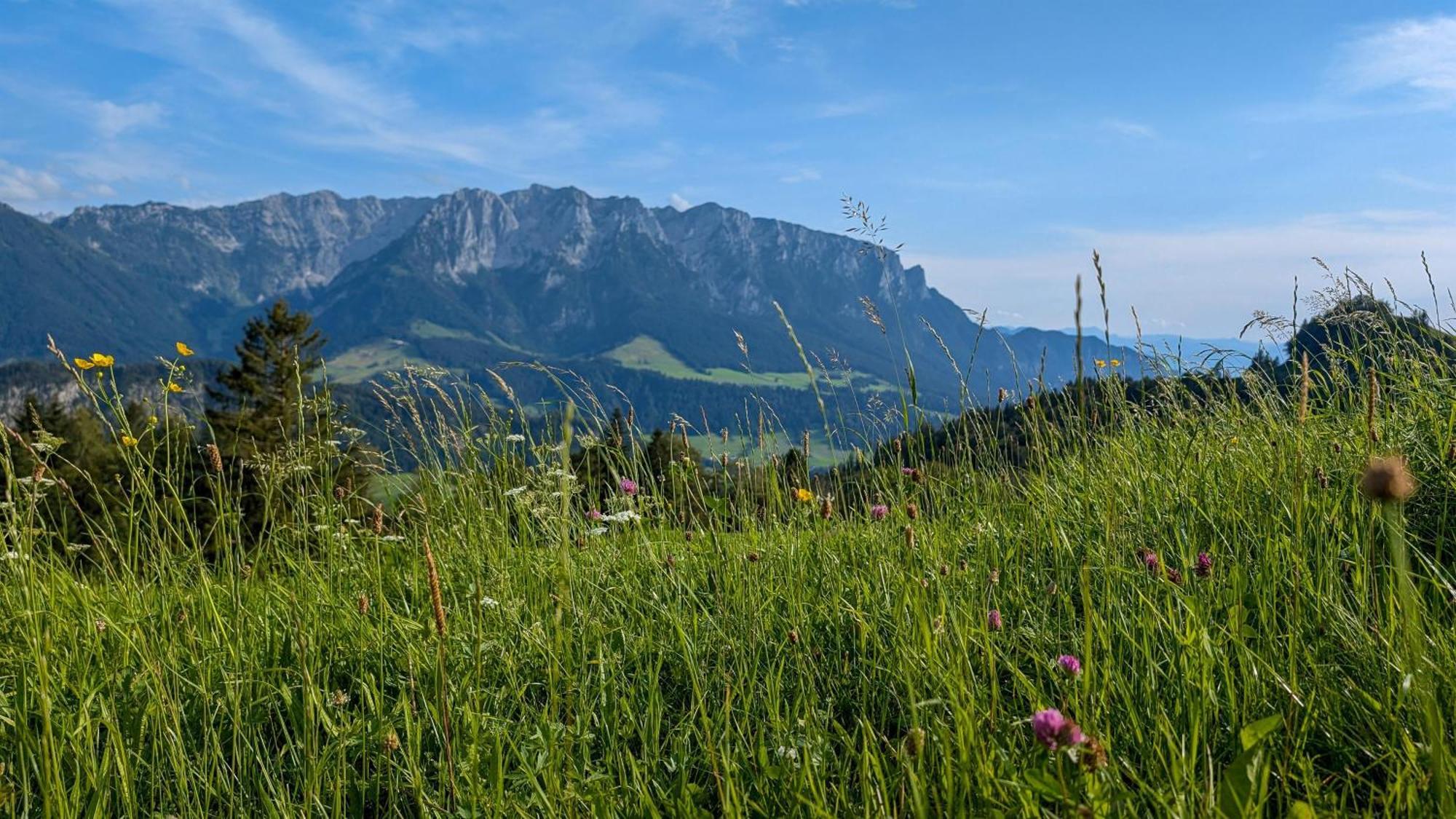Bergapart Goetschl Rettenschoess Rettenschöss Exterior foto